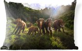 Buitenkussens - Tuin - Olifanten in jungle - 50x30 cm
