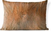 Buitenkussens - Tuin - Cheetah met een goed gecamoufleerd patroon - 60x40 cm