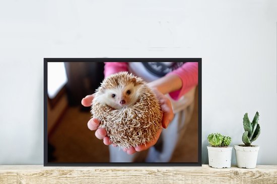 Photo encadrée - Hérisson est tenu cadre photo noir sans passe partout 60x40 cm - Affiche encadrée (Décoration murale salon / chambre)