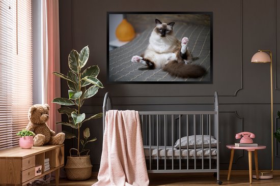 Cadre photo chat dans un lit noir sans support