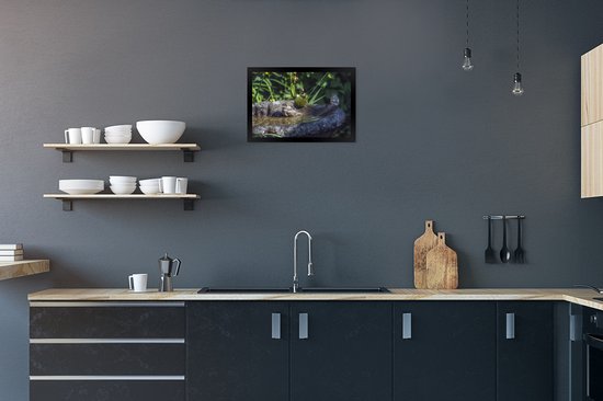 Photo en cadre - Jeunes moineaux dans un bain d'oiseaux par une chaude journée d'été Cadre photo noir sans passe-partout 30x20 cm - Affiche sous cadre (Décoration murale salon / chambre)