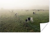 grazende koeien in een mistig weiland 180x120 cm XXL / Groot formaat! - Foto print op Poster (wanddecoratie woonkamer / slaapkamer)