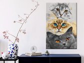 Doe-het-zelf op canvas schilderen - Cat's Trio-40x60