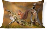 Sierkussens - Kussen - Rode eekhoorn op een oude boomstam in het bos - 60x40 cm - Kussen van katoen
