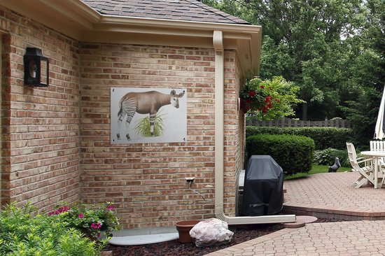 Illustration d'un poster de jardin Okapi 80x60 cm - Toile de jardin / Toile d'extérieur / Peintures d'extérieur (décoration de jardin)