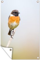 Tuindecoratie Vogel - Takken - Lucht - 40x60 cm - Tuinposter - Tuindoek - Buitenposter