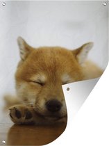 Tuinschilderij Slapende Shiba Inu puppy - 60x80 cm - Tuinposter - Tuindoek - Buitenposter