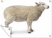 Mouton câlin représenté du côté affiche de jardin toile en vrac 160x120 cm - Toile de jardin / Toile d'extérieur / Peintures d'extérieur (décoration de jardin) XXL / Groot format!
