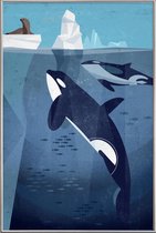 JUNIQE - Poster met kunststof lijst Vintage orka -30x45 /Blauw