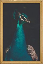 JUNIQE - Poster met houten lijst Peacock And Proud -20x30 /Ivoor & Wit