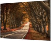 Wandpaneel Weg door herfst bos  | 150 x 100  CM | Zwart frame | Wandgeschroefd (19 mm)