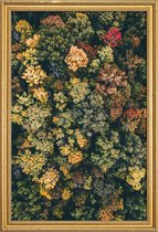 JUNIQE - Poster met houten lijst Herfstbomen - luchtfotografie -13x18