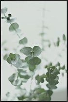 JUNIQE - Poster in kunststof lijst Eucalyptus Green 2 -20x30 /Groen &