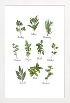 JUNIQE - Poster in houten lijst Herbs Collection -30x45 /Groen & Wit