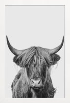 JUNIQE - Poster in houten lijst Highland Cow Classic -20x30 /Wit &