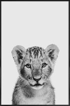 JUNIQE - Poster met kunststof lijst Lion Cub II Classic -13x18 /Wit &