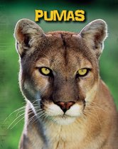 Living in the Wild: Big Cats - Pumas