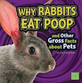 Gross Me Out - Why Rabbits Eat Poop and Other Gross Facts about Pets