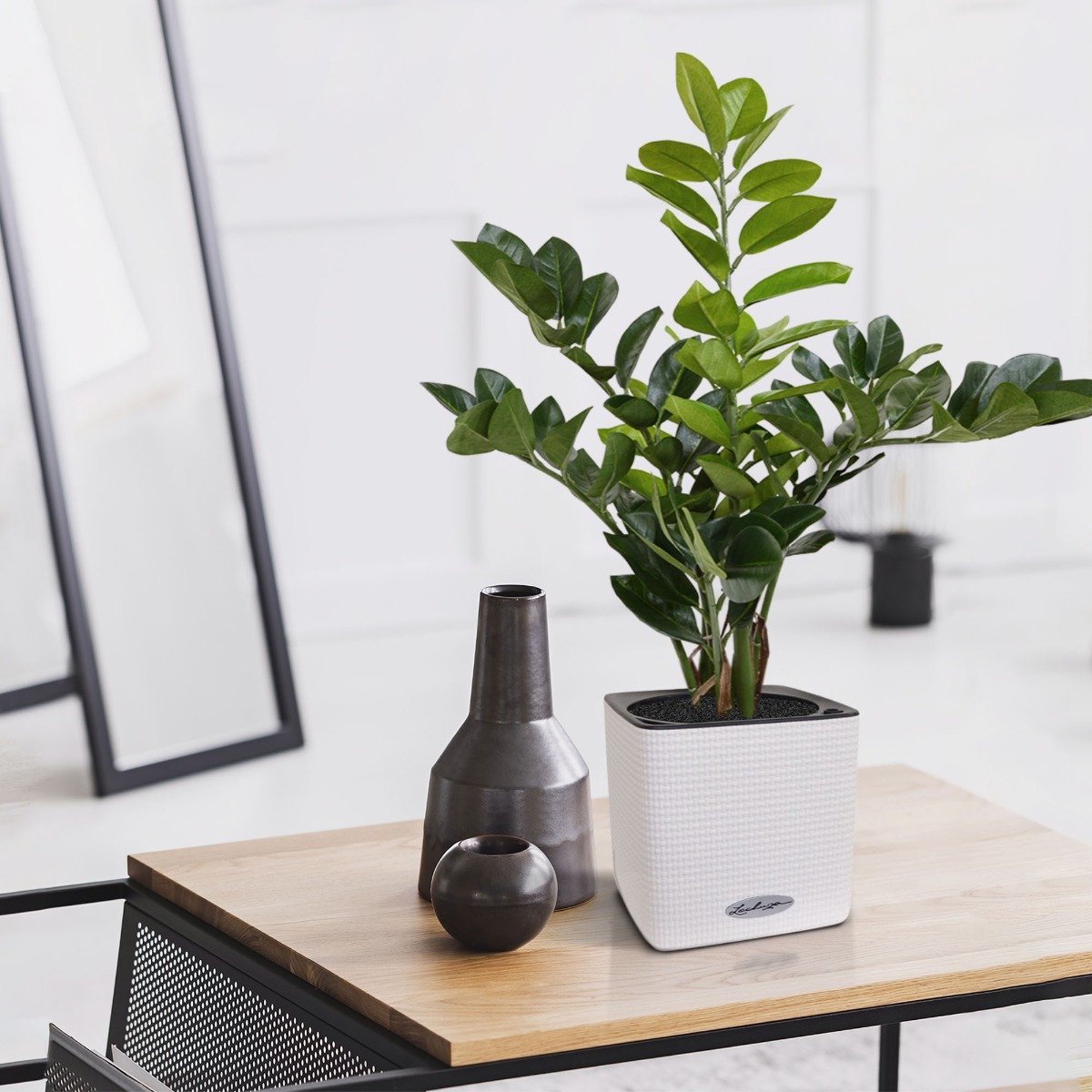 maxifleur Kunstplanten Zamioculcas kunstplant 55cm Groen
