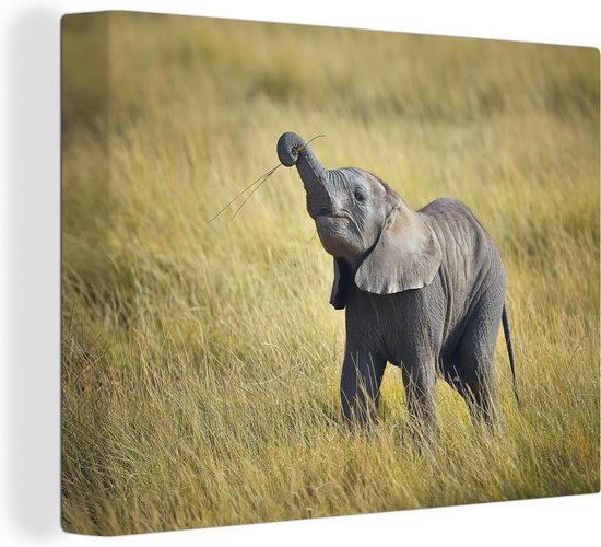 Canvas Schilderij Baby olifant die leert gras te eten - 40x30 cm - Wanddecoratie