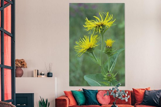 Fleur d'Alant jaune entre la haute herbe verte Toile 120x180 cm - Tirage photo sur toile (Décoration murale salon / chambre) XXL / Groot format!