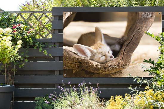 Tuinposter 120x80 cm - Tuindecoratie Woestijnvos slaapt in holle boomstam - Poster voor in de tuin - Buiten decoratie - Schutting tuinschilderij - Tuindoek muurdecoratie - Wanddecoratie balkondoek