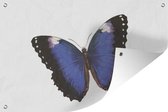 Tuindecoratie Vlinder - Blauw - Zwart - 60x40 cm - Tuinposter - Tuindoek - Buitenposter