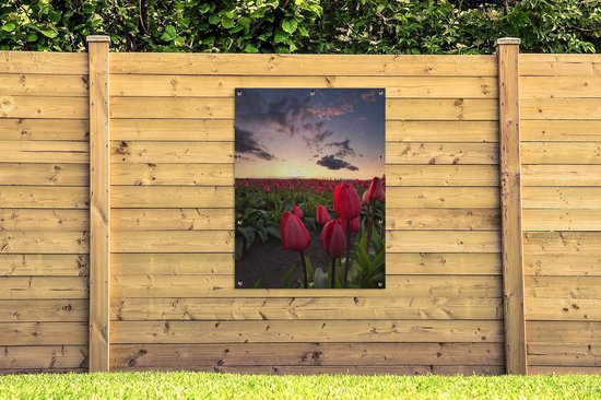 Affiche jardin - Toile jardin - Posters de jardin extérieur - Tulipes rouges et coucher de soleil - 90x120 cm - Jardin