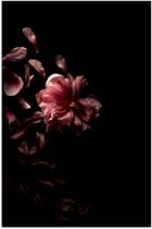 Poster – Zwarte Achtergrond met Roze Bladeren - 60x90cm Foto op Posterpapier
