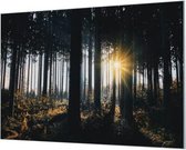 Wandpaneel Zon door de Bomen  | 120 x 80  CM | Zilver frame | Akoestisch (50mm)