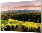 Wandpaneel Toscaanse wijn boerderij  | 120 x 80  CM | Zilver frame | Akoestisch (50mm)