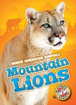 North American Animals - Mountain Lions