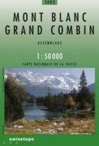 Mont Blanc / Grand Combin