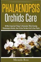 Phalaenopsis Orchids Care