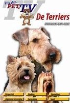 DVD Terriers