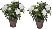 2x Groene Azalea kunstplant witte bloemen 27 cm in pot stan grey - Kunstplanten/nepplanten