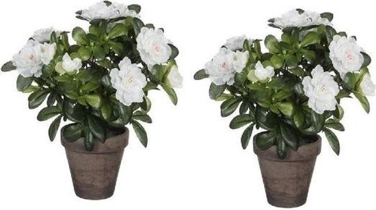 2x Groene Azalea kunstplant witte bloemen 27 cm pot stan grey Kunstplanten/nepplanten |