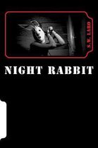 'The Night Rabbit'