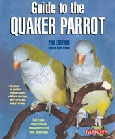 Guide to Quaker Parrot