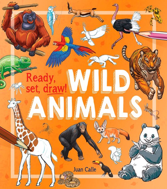 Ready, Set, Draw!: Wild Animals - cover