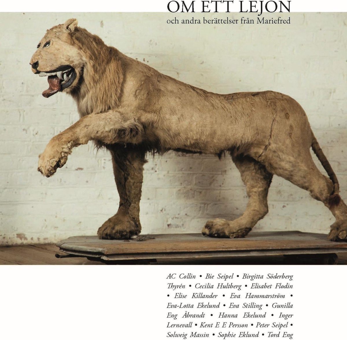 Om ett lejon och andra berättelser från Mariefred (ebook), Ac 