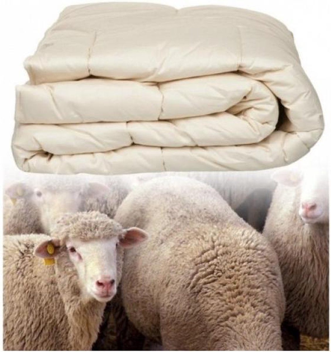 Dekbed 140x200 4-seizoenen van Texels Schapenwol