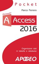 Lavorare con Access 1 - Access 2016