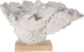 Kunstkoraal op voet - polyresin - wit - 65 x 43,5 x 38,5 cm