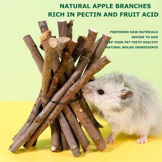 Happyyami 2stuks Kruidige Knabbelbal Speelgoed Voor Dieren Activiteitsspeelballen Voor Konijnen Cavia Hamsters Teething Speelgoed Voor Huisdieren Grasbal Accessoires