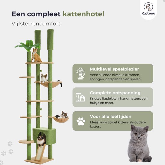 Hoge kattenboom voor muur met 40 cm grote baars, 5 niveaus vloer tot