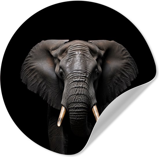 WallCircle® - Behangcirkel 80x80 cm - Muurstickers Olifant - Portret - Zwart - Dier - Muurcirkel woonkamer - Wandcirkel slaapkamer - Kamer decoratie zelfklevend - Muurdecoratie accessoires