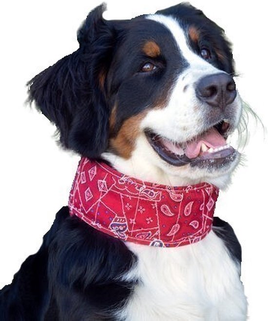 Aqua Coolkeeper Red Western - Verkoelende Halsband - M: 30-34