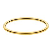 Lucardi Dames Stalen goldplated bangle - Armband - Staal - Goud - 62 dm