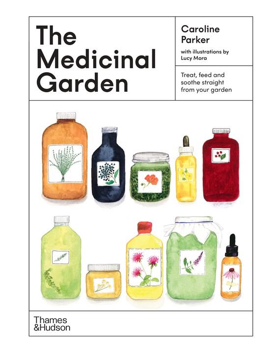 The Medicinal Garden - cover